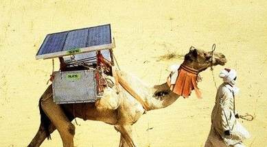 骆驼大改造：变身太阳能迷你冰箱