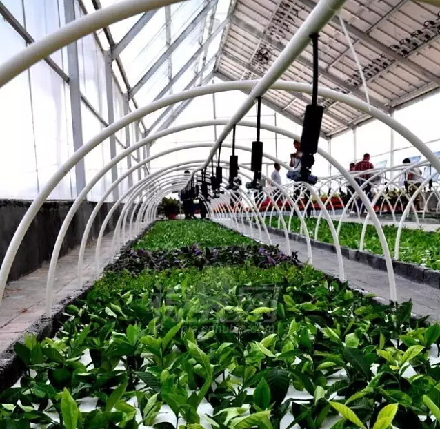 光伏应用新模式——光伏温室大棚